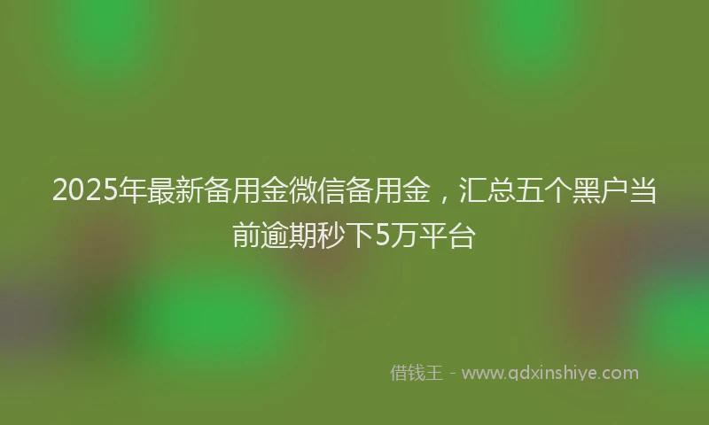 2025年最新备用金微信备用金，汇总五个黑户当前逾期秒下5万平台