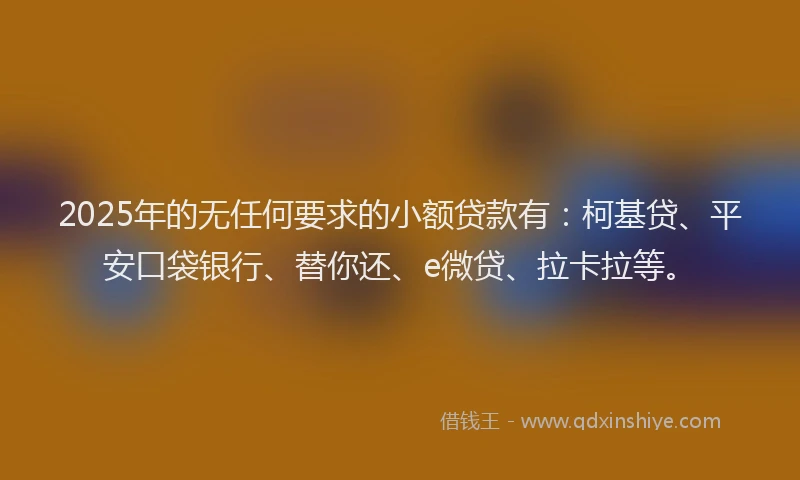 2025年的无任何要求的小额贷款有：柯基贷、平安口袋银行、替你还、e微贷、拉卡拉等。