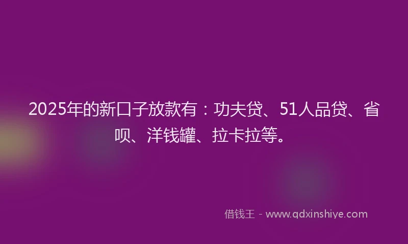 2025年的新口子放款有：功夫贷、51人品贷、省呗、洋钱罐、拉卡拉等。