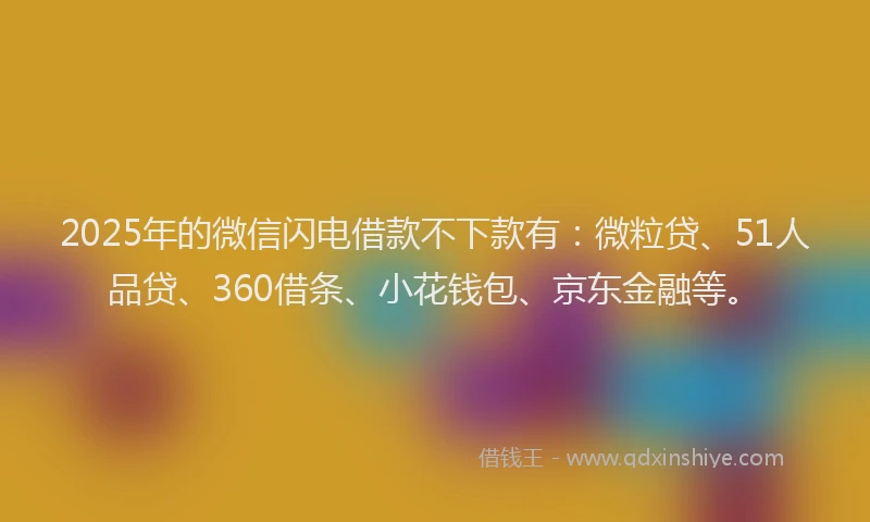2025年的微信闪电借款不下款有：微粒贷、51人品贷、360借条、小花钱包、京东金融等。