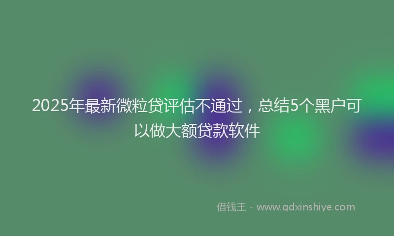 2025年最新微粒贷评估不通过，总结5个黑户可以做大额贷款软件