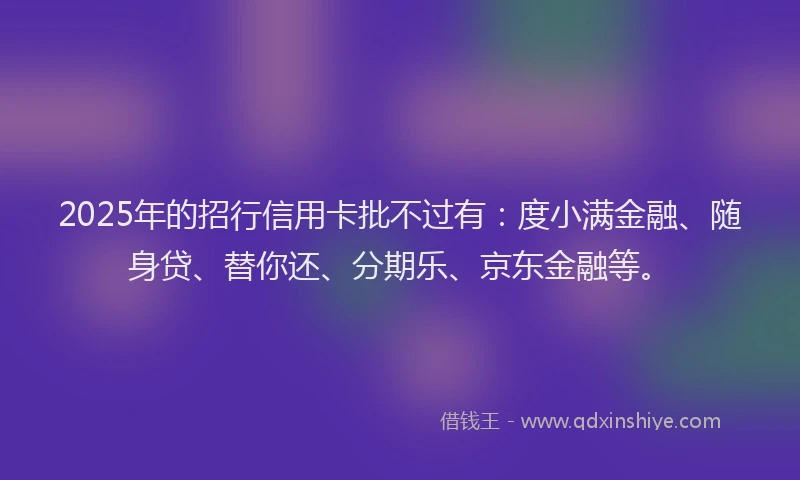 2025年的招行信用卡批不过有：度小满金融、随身贷、替你还、分期乐、京东金融等。