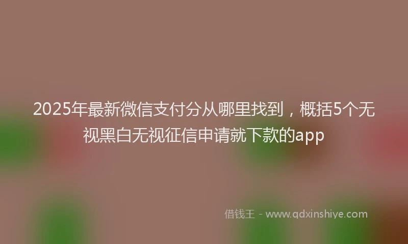 2025年最新微信支付分从哪里找到，概括5个无视黑白无视征信申请就下款的app
