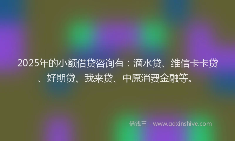 2025年的小额借贷咨询有：滴水贷、维信卡卡贷、好期贷、我来贷、中原消费金融等。