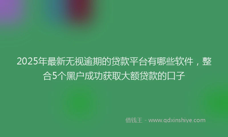 2025年最新无视逾期的贷款平台有哪些软件，整合5个黑户成功获取大额贷款的口子