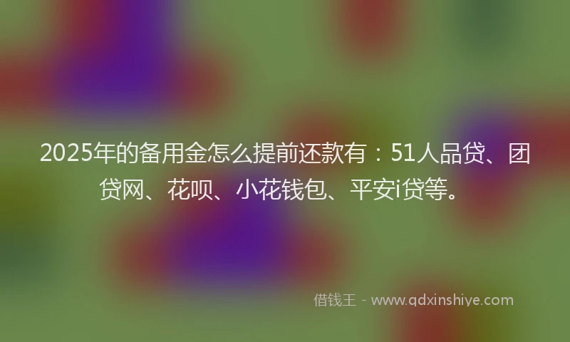 2025年的备用金怎么提前还款有：51人品贷、团贷网、花呗、小花钱包、平安i贷等。