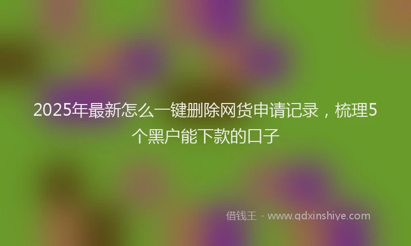 2025年最新怎么一键删除网货申请记录，梳理5个黑户能下款的口子