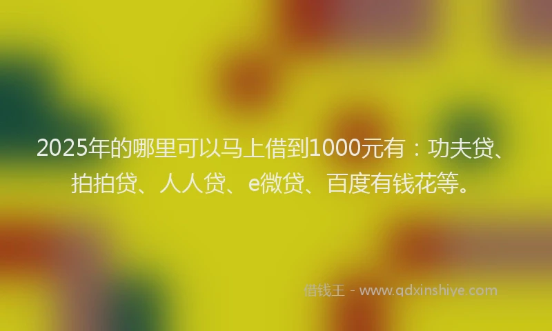 2025年的哪里可以马上借到1000元有：功夫贷、拍拍贷、人人贷、e微贷、百度有钱花等。
