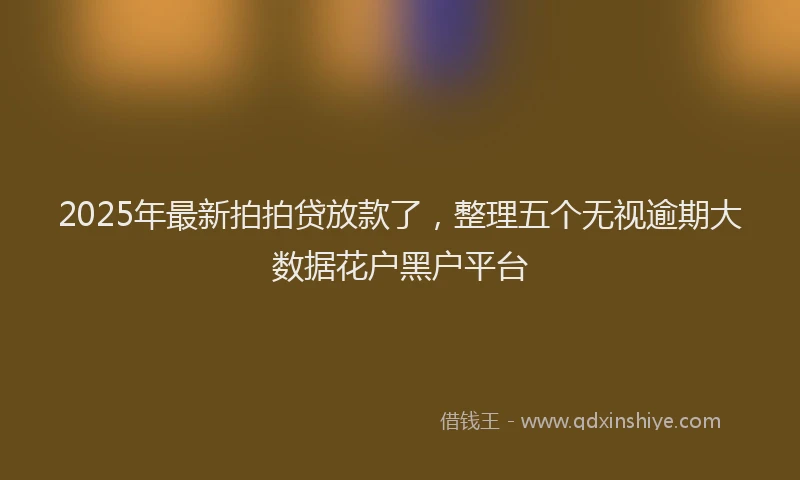2025年最新拍拍贷放款了，整理五个无视逾期大数据花户黑户平台