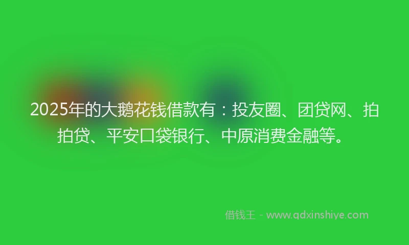 2025年的大鹅花钱借款有：投友圈、团贷网、拍拍贷、平安口袋银行、中原消费金融等。