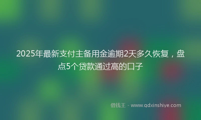 2025年最新支付主备用金逾期2天多久恢复，盘点5个贷款通过高的口子