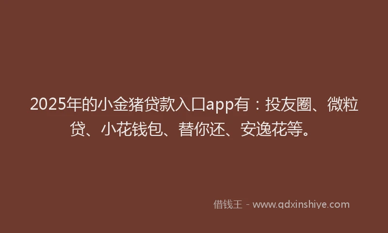 2025年的小金猪贷款入口app有：投友圈、微粒贷、小花钱包、替你还、安逸花等。