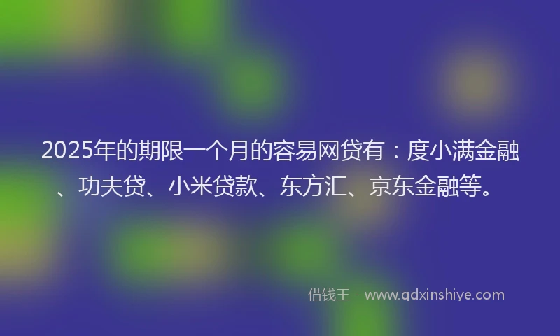 2025年的期限一个月的容易网贷有：度小满金融、功夫贷、小米贷款、东方汇、京东金融等。