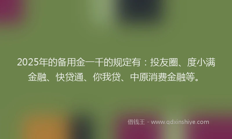 2025年的备用金一千的规定有：投友圈、度小满金融、快贷通、你我贷、中原消费金融等。