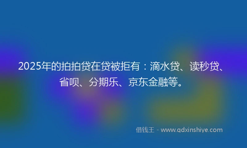 2025年的拍拍贷在贷被拒有：滴水贷、读秒贷、省呗、分期乐、京东金融等。