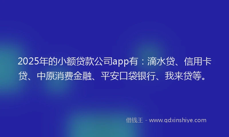 2025年的小额贷款公司app有：滴水贷、信用卡贷、中原消费金融、平安口袋银行、我来贷等。