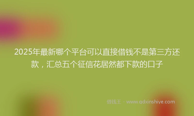 2025年最新哪个平台可以直接借钱不是第三方还款，汇总五个征信花居然都下款的口子