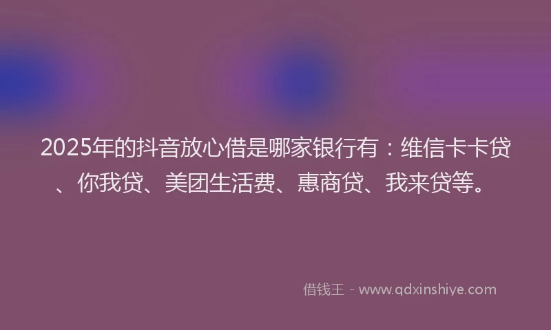 2025年的抖音放心借是哪家银行有：维信卡卡贷、你我贷、美团生活费、惠商贷、我来贷等。