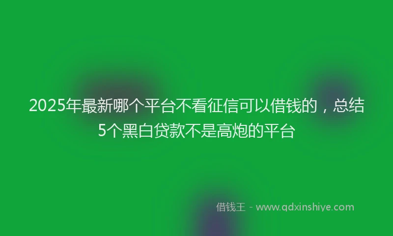 2025年最新哪个平台不看征信可以借钱的，总结5个黑白贷款不是高炮的平台