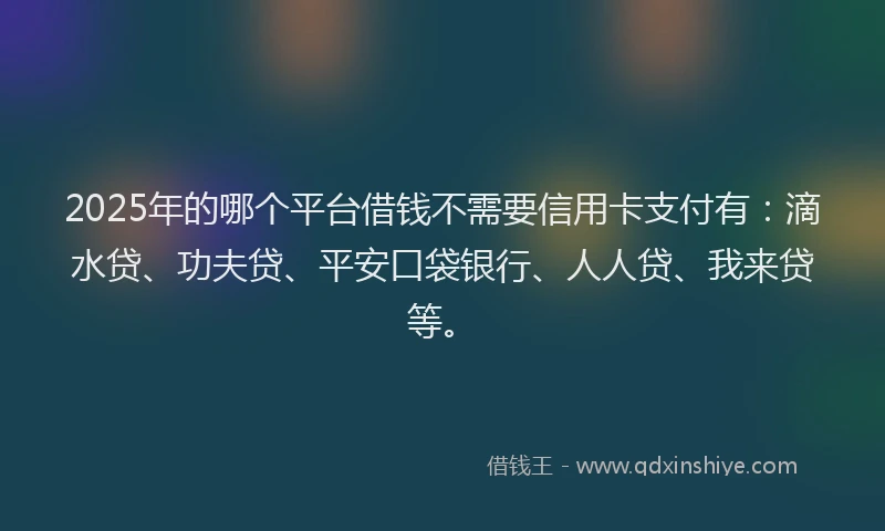 2025年的哪个平台借钱不需要信用卡支付有：滴水贷、功夫贷、平安口袋银行、人人贷、我来贷等。