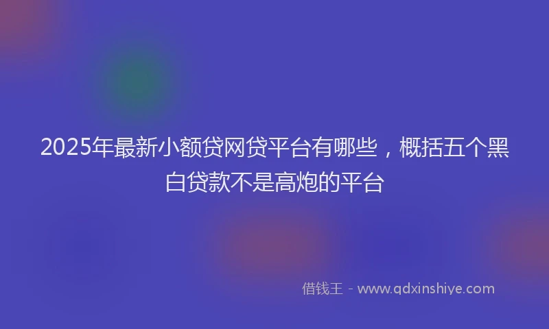 2025年最新小额贷网贷平台有哪些，概括五个黑白贷款不是高炮的平台