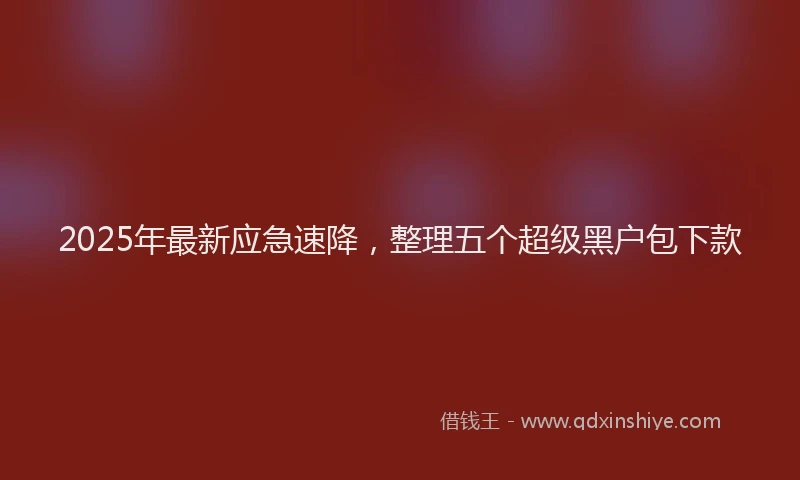 2025年最新应急速降，整理五个超级黑户包下款
