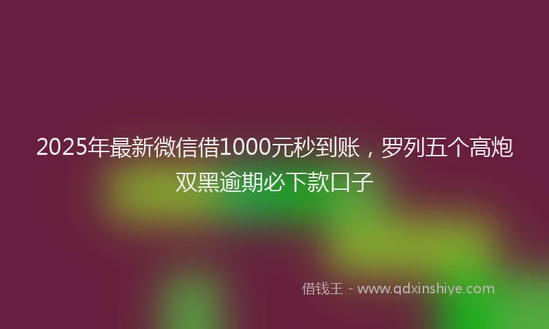 2025年最新微信借1000元秒到账，罗列五个高炮双黑逾期必下款口子
