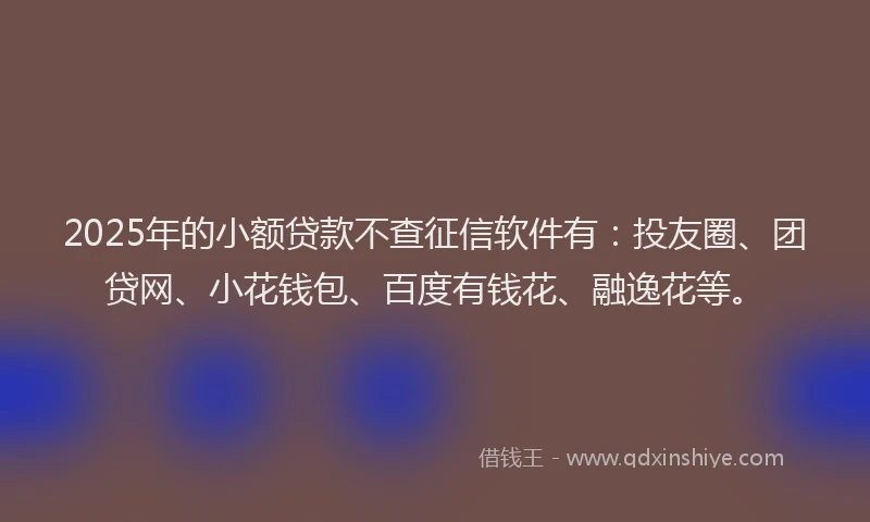 2025年的小额贷款不查征信软件有：投友圈、团贷网、小花钱包、百度有钱花、融逸花等。