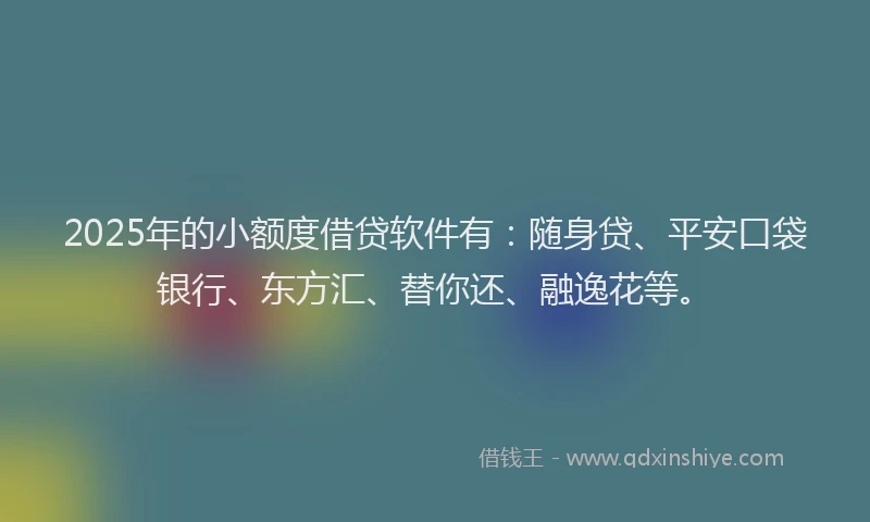 2025年的小额度借贷软件有：随身贷、平安口袋银行、东方汇、替你还、融逸花等。