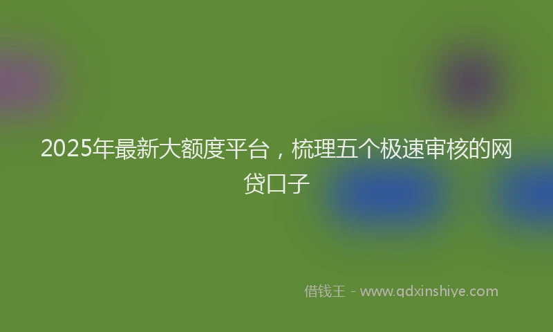 2025年最新大额度平台，梳理五个极速审核的网贷口子