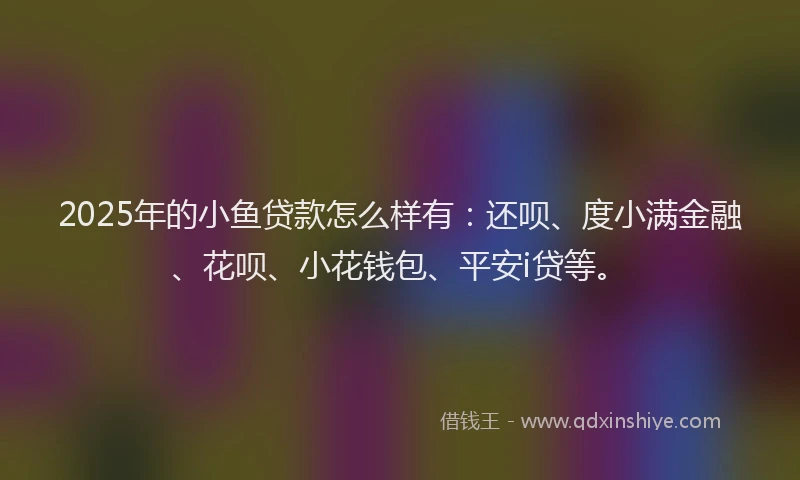 2025年的小鱼贷款怎么样有：还呗、度小满金融、花呗、小花钱包、平安i贷等。