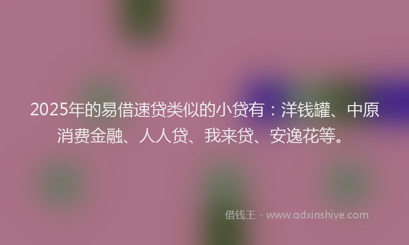 2025年的易借速贷类似的小贷有：洋钱罐、中原消费金融、人人贷、我来贷、安逸花等。