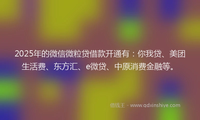 2025年的微信微粒贷借款开通有：你我贷、美团生活费、东方汇、e微贷、中原消费金融等。
