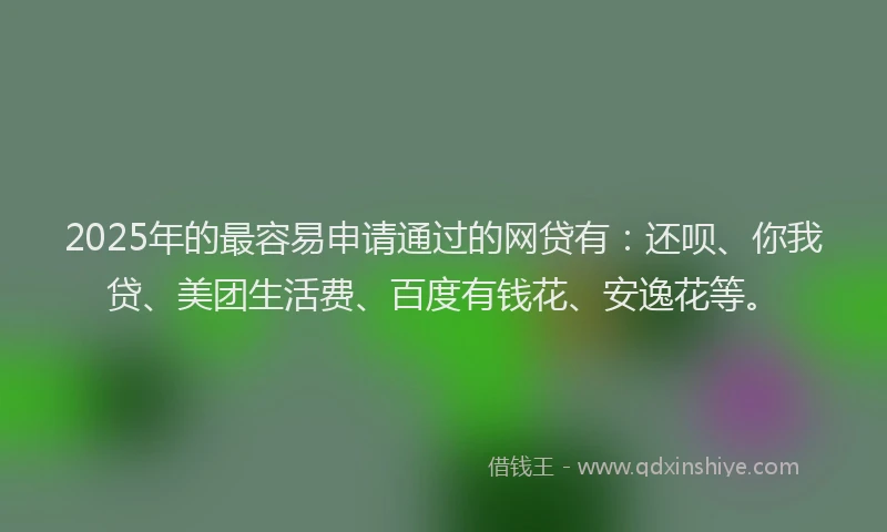 2025年的最容易申请通过的网贷有：还呗、你我贷、美团生活费、百度有钱花、安逸花等。