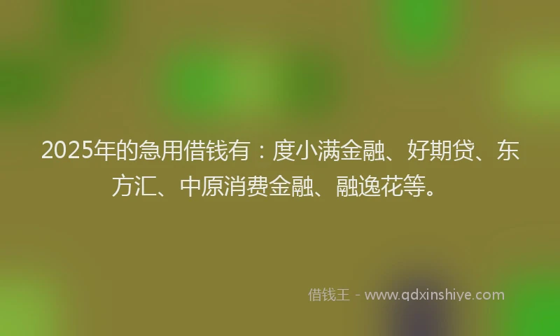 2025年的急用借钱有：度小满金融、好期贷、东方汇、中原消费金融、融逸花等。