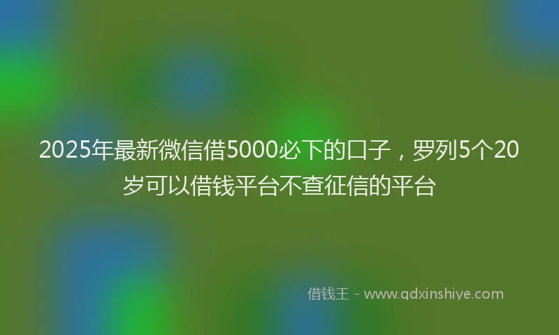 2025年最新微信借5000必下的口子，罗列5个20岁可以借钱平台不查征信的平台