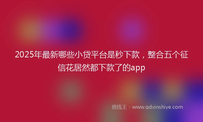 2025年最新哪些小贷平台是秒下款，整合五个征信花居然都下款了的app