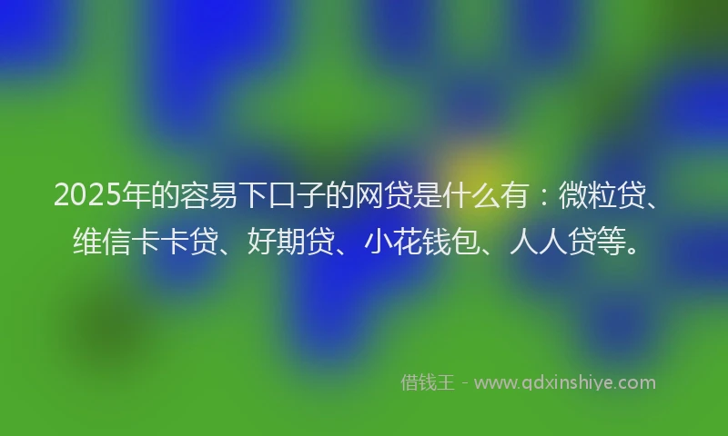 2025年的容易下口子的网贷是什么有：微粒贷、维信卡卡贷、好期贷、小花钱包、人人贷等。