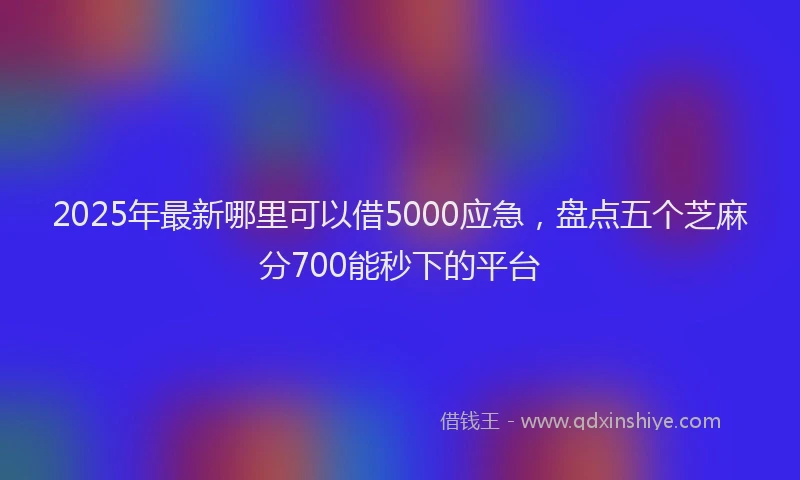 2025年最新哪里可以借5000应急，盘点五个芝麻分700能秒下的平台