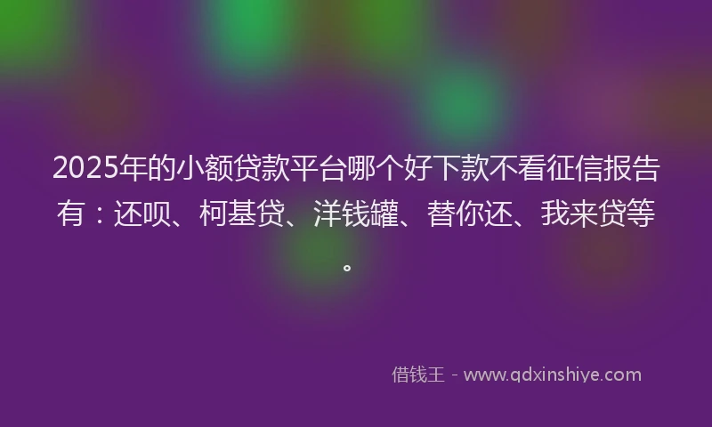 2025年的小额贷款平台哪个好下款不看征信报告有：还呗、柯基贷、洋钱罐、替你还、我来贷等。