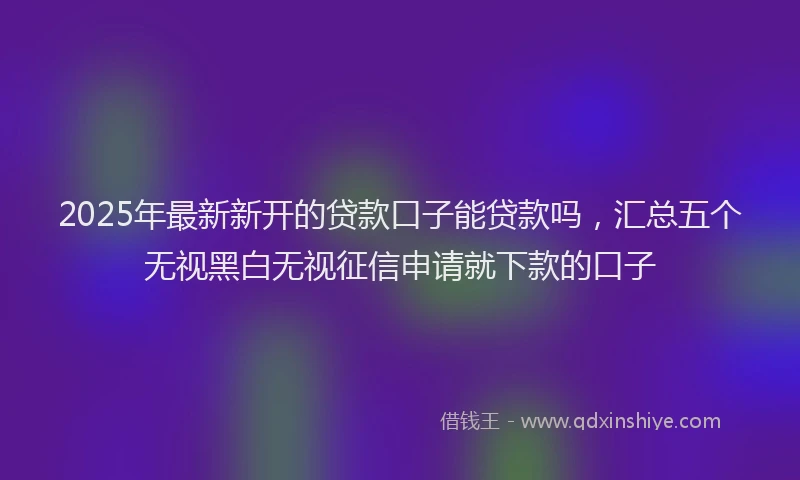2025年最新新开的贷款口子能贷款吗，汇总五个无视黑白无视征信申请就下款的口子