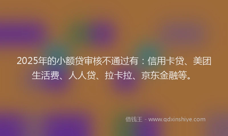 2025年的小额贷审核不通过有：信用卡贷、美团生活费、人人贷、拉卡拉、京东金融等。