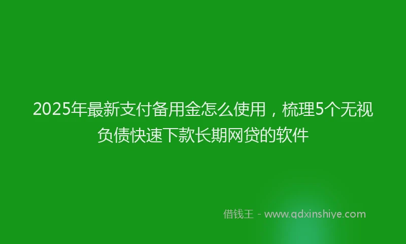2025年最新支付备用金怎么使用，梳理5个无视负债快速下款长期网贷的软件