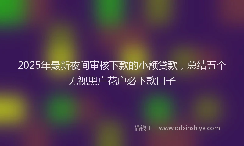 2025年最新夜间审核下款的小额贷款，总结五个无视黑户花户必下款口子