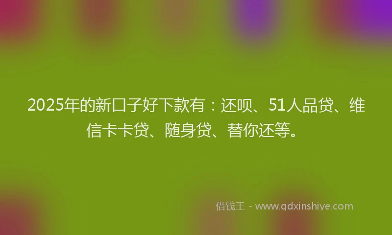 2025年的新口子好下款有：还呗、51人品贷、维信卡卡贷、随身贷、替你还等。