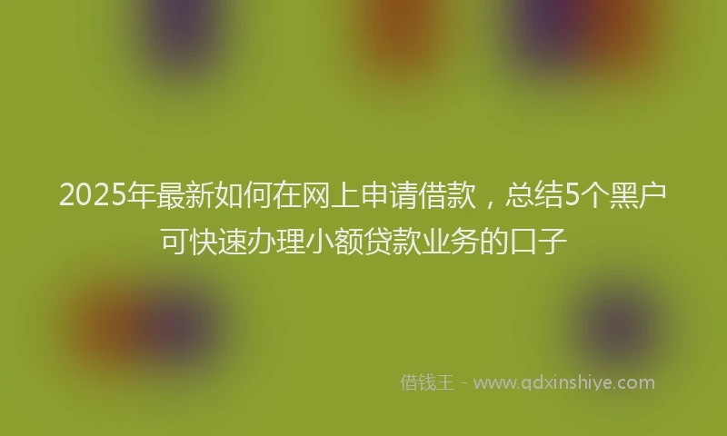2025年最新如何在网上申请借款，总结5个黑户可快速办理小额贷款业务的口子