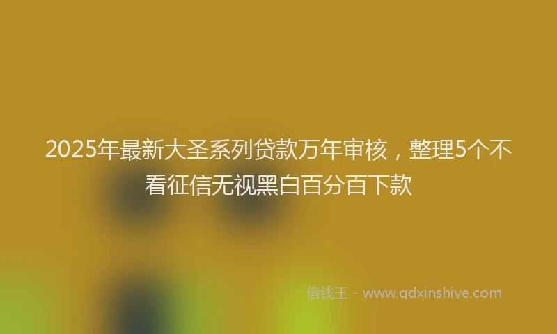2025年最新大圣系列贷款万年审核，整理5个不看征信无视黑白百分百下款