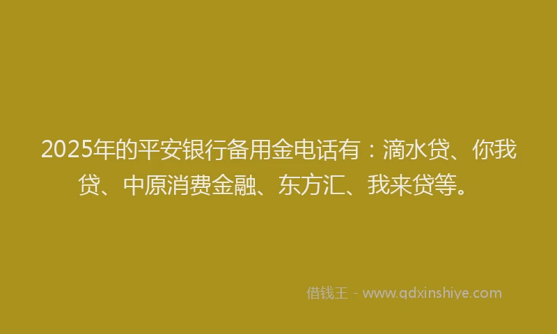 2025年的平安银行备用金电话有：滴水贷、你我贷、中原消费金融、东方汇、我来贷等。