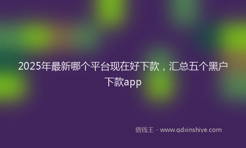 2025年最新哪个平台现在好下款，汇总五个黑户下款app