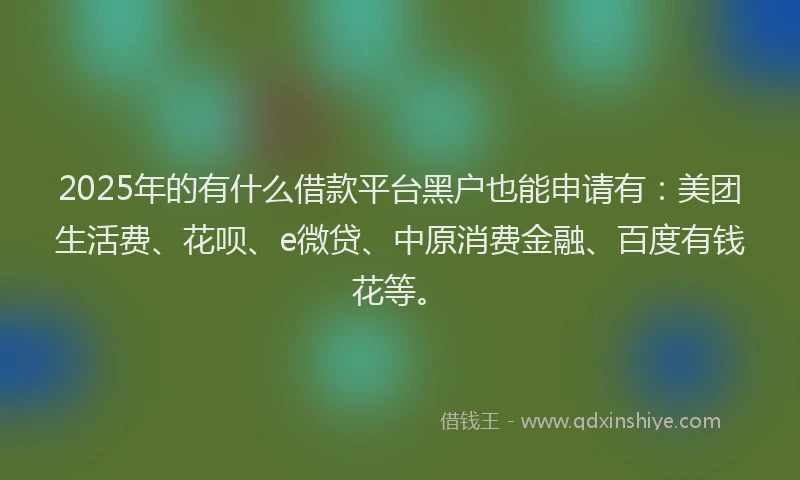 2025年的有什么借款平台黑户也能申请有：美团生活费、花呗、e微贷、中原消费金融、百度有钱花等。